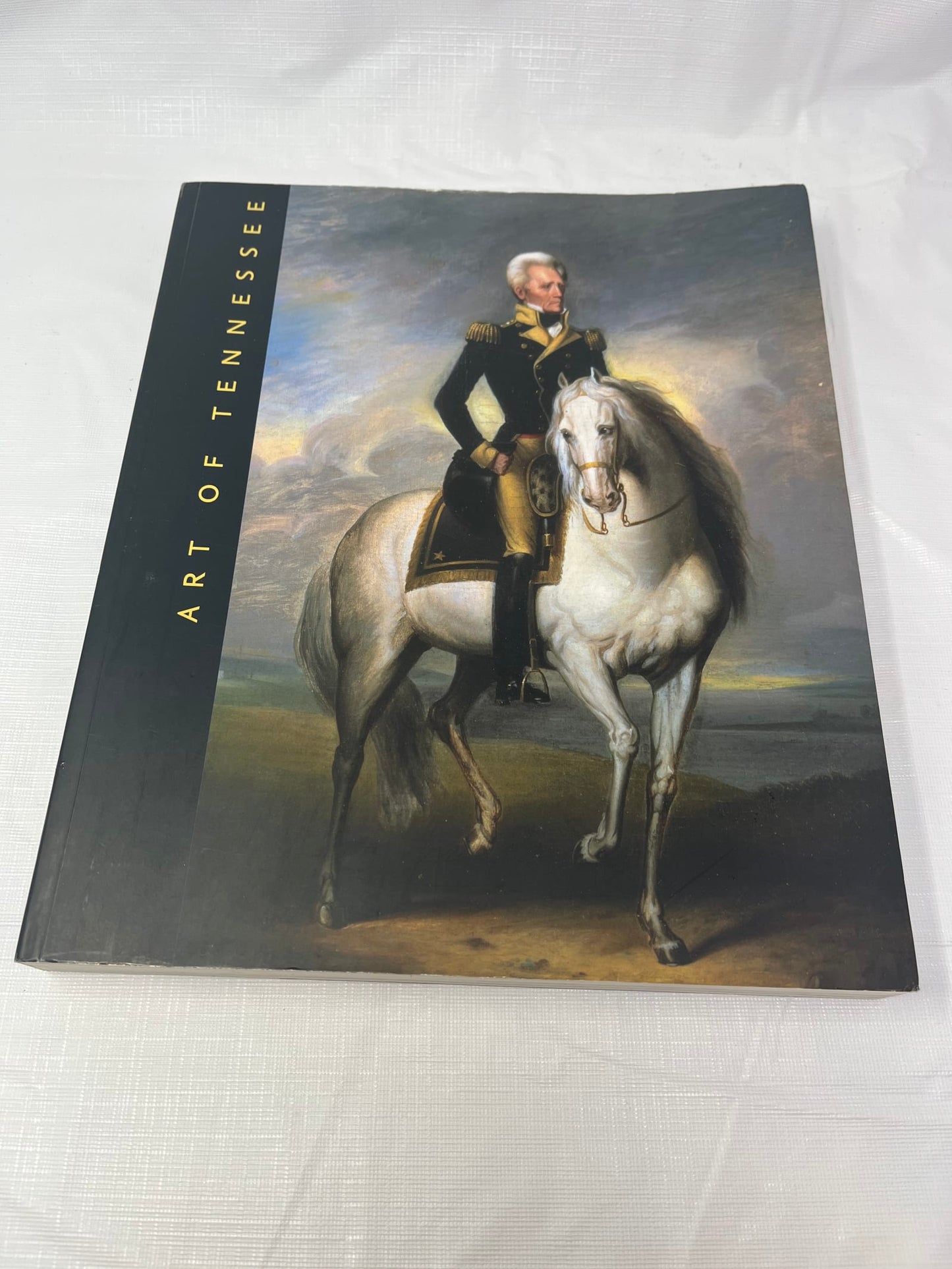 Gently Used Thrift Store – The Art of Tennessee by Benjamin H. Caldwell – Large Softcover Book – Books – Used