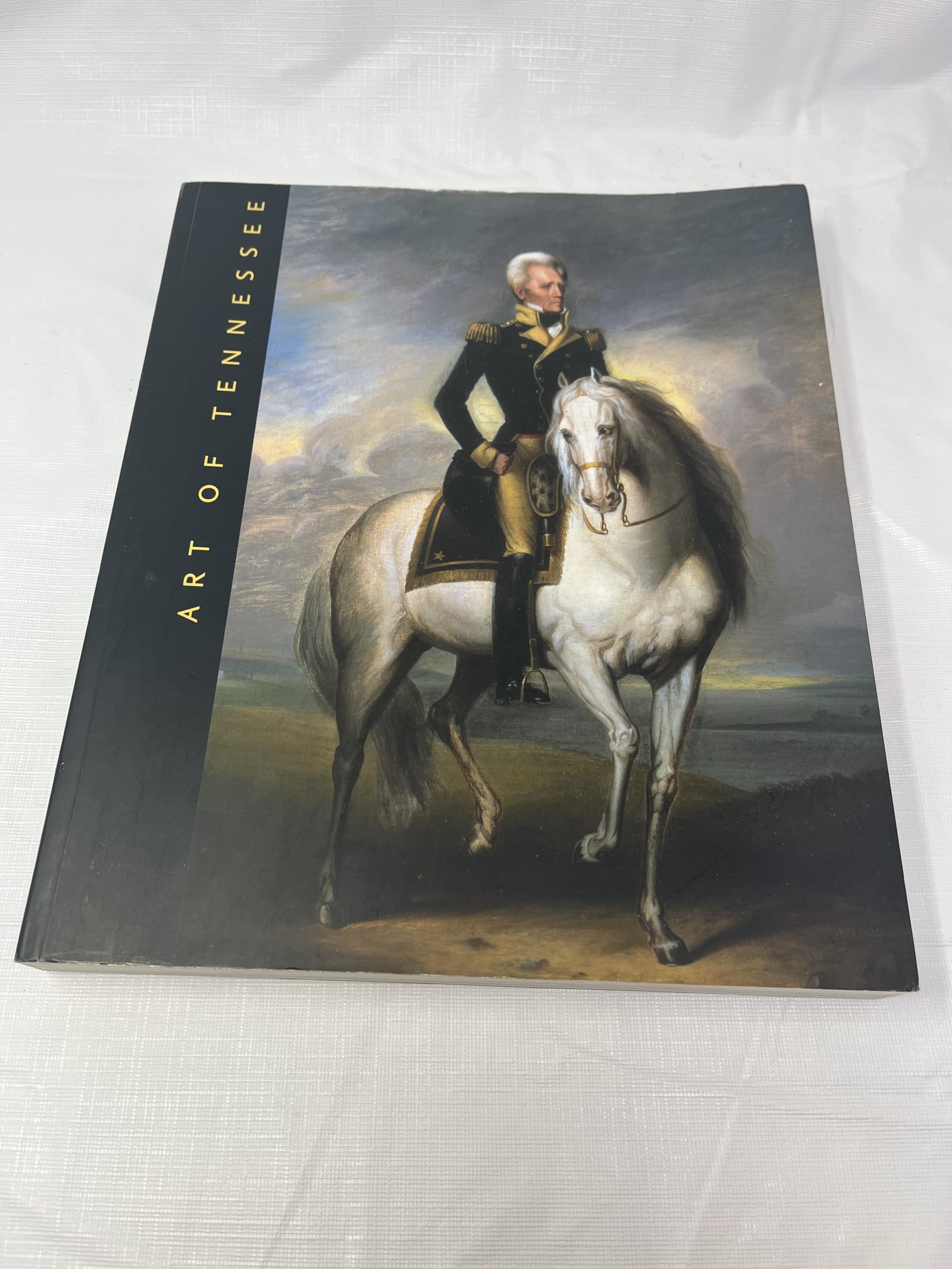 Gently Used Thrift Store – The Art of Tennessee by Benjamin H. Caldwell – Large Softcover Book – Books – Used